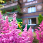 Hotel Ermitage Wellness- & Spa-hotel