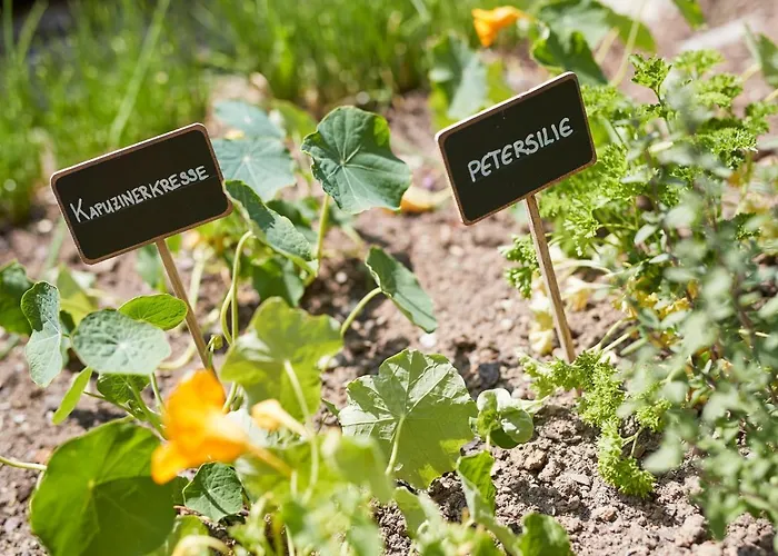 Ermitage Wellness- & Spa-hotel 5*