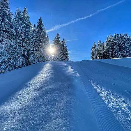 Hotel Ermitage Wellness- & Spa-hotel Gstaad