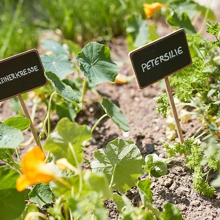 Ermitage Wellness- & Spa-hotel 5*